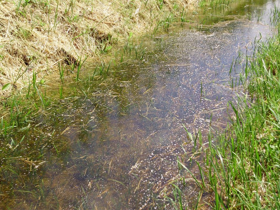 La Valle dell''Adige e l''ululone